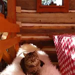 Pezion Limbovy Dvor Vrbov
