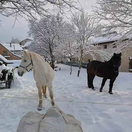 Pezion Limbovy Dvor Affittacamere Vrbov