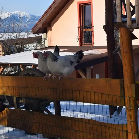 Penzión pre hostí Pezion Limbovy Dvor