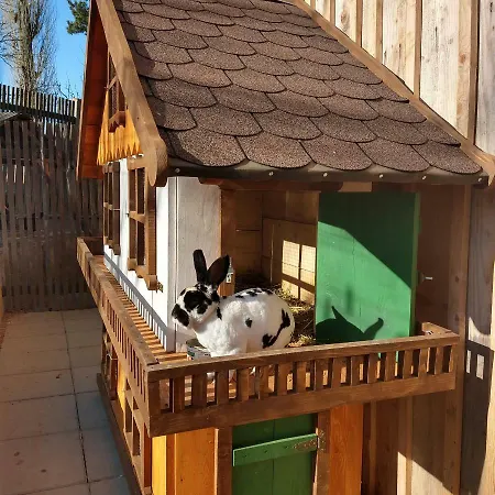 Pezion Limbovy Dvor Vrbov