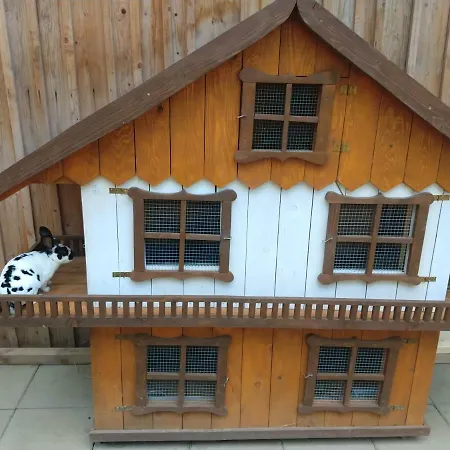 Pezion Limbovy Dvor 2*