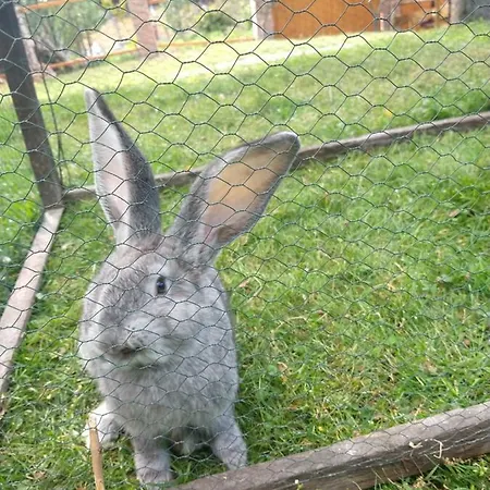 Pezion Limbovy Dvor Penzión pre hostí Vrbov