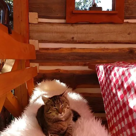 Pezion Limbovy Dvor Vrbov