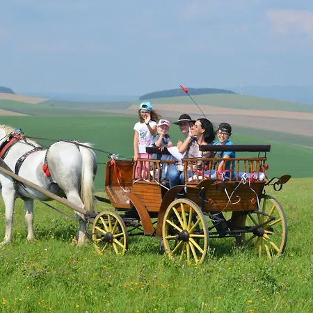 Pezion Limbovy Dvor 2*